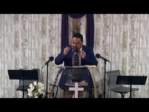 The Fruitfulness of Old Age (Psalm 92:12-15)