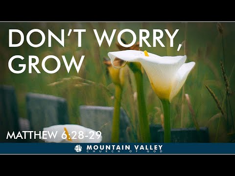 Sunday Service MVCOG - Matthew 6:29-30  Don’t Worry, Grow Instead