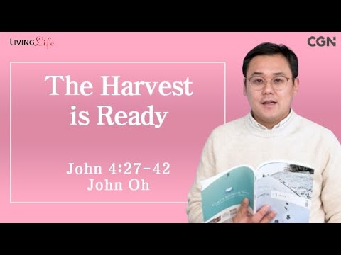 The Harvest is Ready (John 4:27-42) Living Life 01/13/2025 Daily Devotional Bible Study