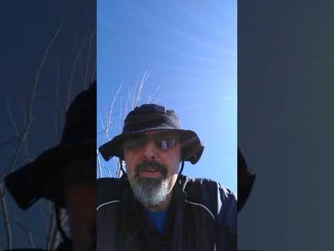 Walks with God. Matthew 7:1-4. Do not judge others. 4.4.2020