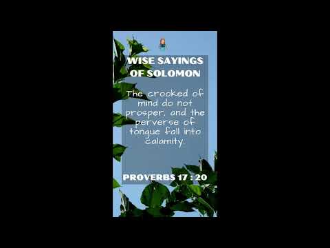 Proverbs 17:20 | NRSV Bible - Wise Sayings of Solomon