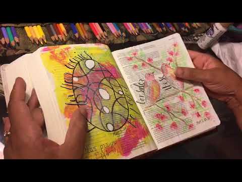 I know every bird Psalm 50:11