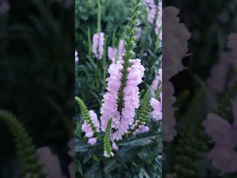 Proverbs 8:33(Listen to my instruction and be wise; do not ignore it)