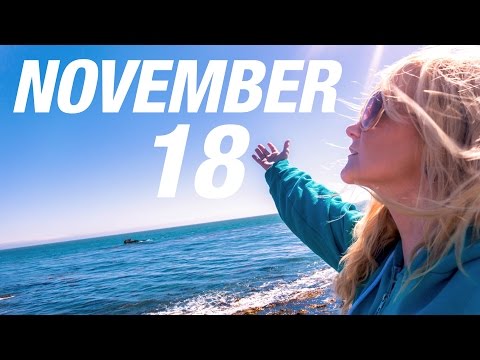 James 2:14-17 (NLT) - Scripture Song | Faith by Itself Isn&#39;t Enough