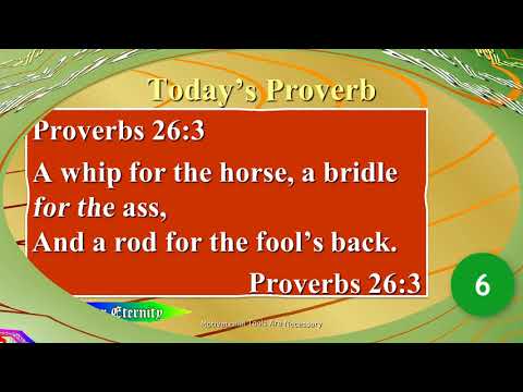 12/26. Motivational Tools Are Necessary, Proverbs 26:3