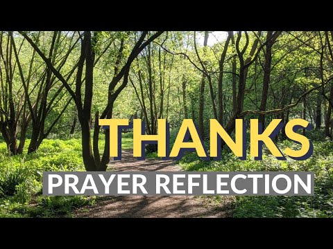 THANKS PRAYER REFLECTION - Genesis 1:20-25 & Luke 12:27-28 - Thy Kingdom Come Day 3