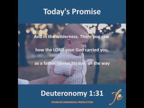 Today's Promise (Deuteronomy 1:31) English