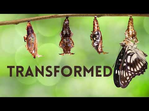 Pastor Johnnie M White Sr: "Transformed' Romans 12: 1 - 2.  (8/22/21)