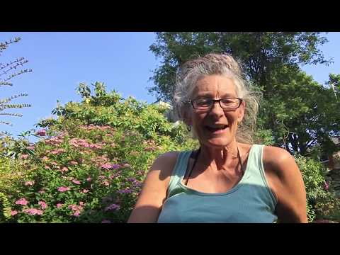 Day 94 - Or Goyin - Light of Nations - Isaiah 42:16 - 24/6/2020