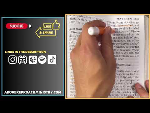 Day 22: Interpreting The Biblical Data In The Gospels | Matthew 14:13:22-33