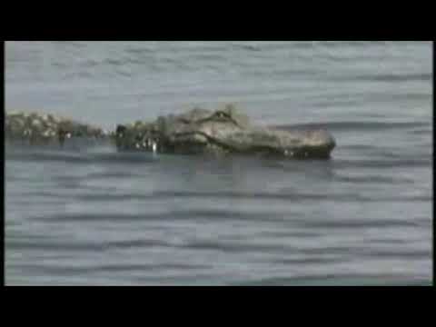 Daily Devotion:  Spirit Gives Life:  John 6: 63- 65