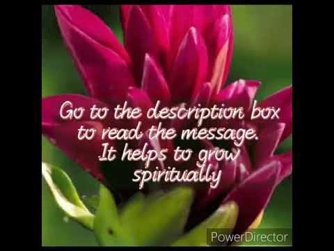 A Changed Occupation....   Luke  5:27-28