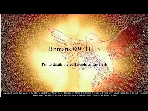 14th Sunday – OT – A - Second Reading - Romans 8:9, 11–13 – If by the