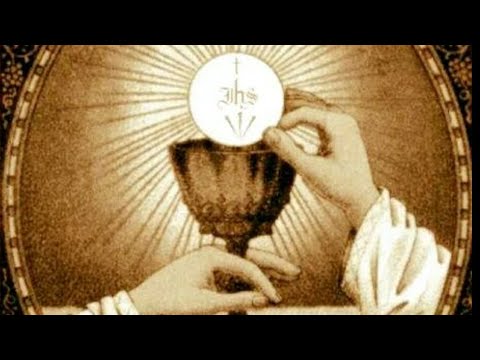 Today's Holy Gospel: homily and reflection: John 6:52-59 Friday 01/05/2020)????????????