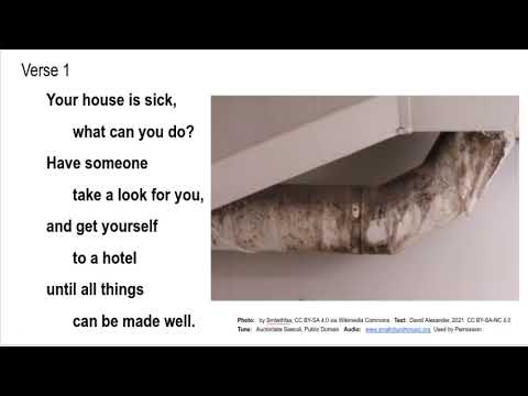 Leviticus 14:34-42  Heed the Signs and Get it Checked