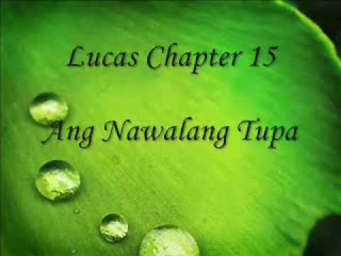 Patnubay Bible Study Luke 15:1-10 Part One