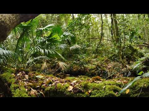 D A Y  1 3 // Hebrews 12:14-15