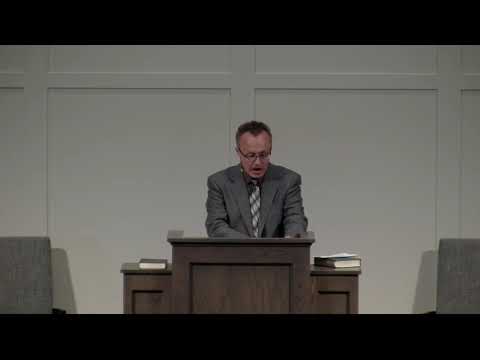 Humbled by a Donkey (Numbers 22:22-35)