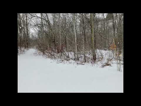 Coffee Break (5 Minutes with God) Psalm 73:7-10