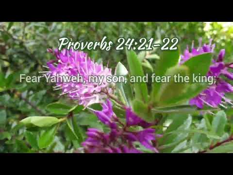 The Holy Bible - Proverbs  24:21-22