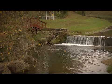 FLBC Daily Devotion: Colossians 2:10, "God Puts Who He Wants in Power."