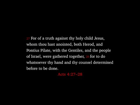 Acts 4:27–28 | Evil and the Sovereignty of God (Crash Course in Basic Christianity #14).