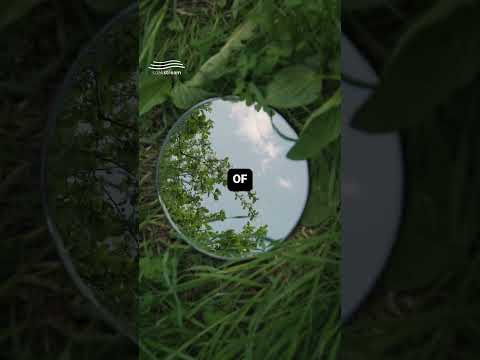 This Bible Verse Could Change Your Entire Day! ????????????????