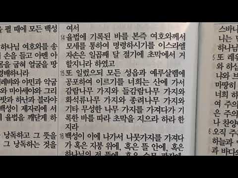 느헤미야 8, 9:22 성경말씀 읽기 개역개정  Nehemiah 8-9:22 readings in Korean