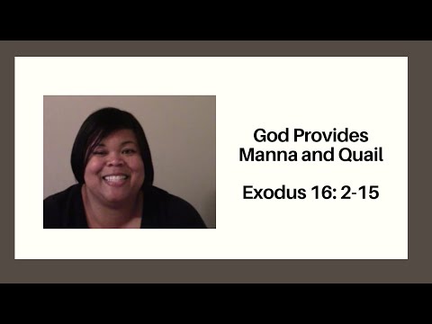 God Provides Manna and Quail  Exodus 16: 2-15