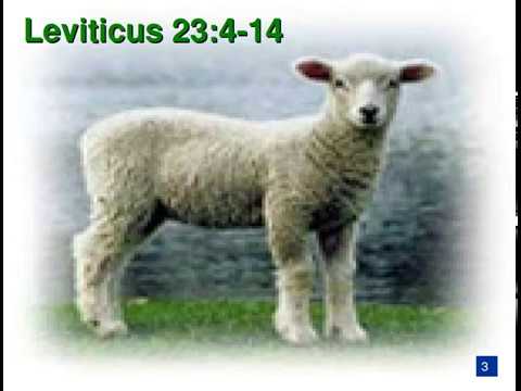 God's Appointed Times - Part 3 | Leviticus 23:4-14 | 04/20/2008