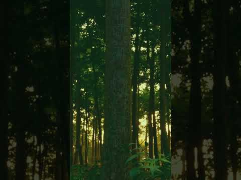 The Lord of hosts | Malachi 3:5-6