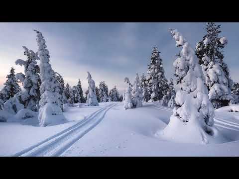 Scripture Verse By Verse (5) Psalm 119:129-136