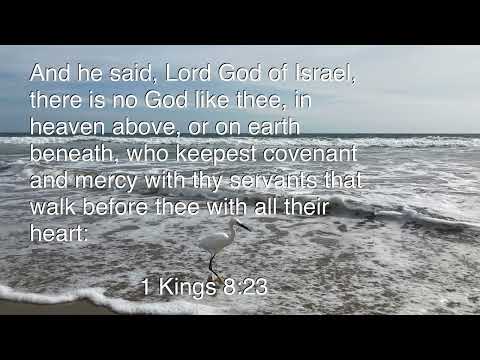 Come Follow Me; June 20-26; 1 Kings 8:23