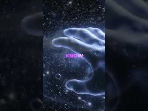 Who has known the mind of the Lord? - #ChristianCoffeeTime