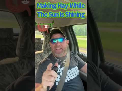 Proverbs 6:6,7 Make hey when the sun is shining !!