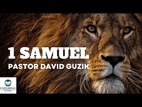 1 Samuel 29:1-30:6 - Bottomed Out and Starting to Rise