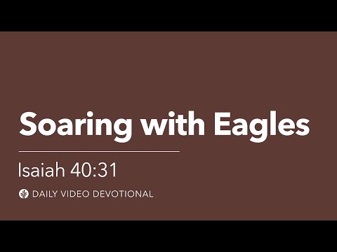Soaring with Eagles | Isaiah 40:31 | Our Daily Bread Video Devotional
