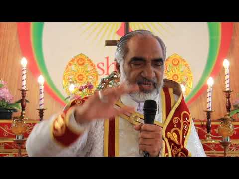 Daily reflection St Luke 13:6-9(25/07/2020)