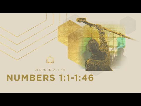 THE CENSUS | Bible Study | Numbers 1:1-1:46