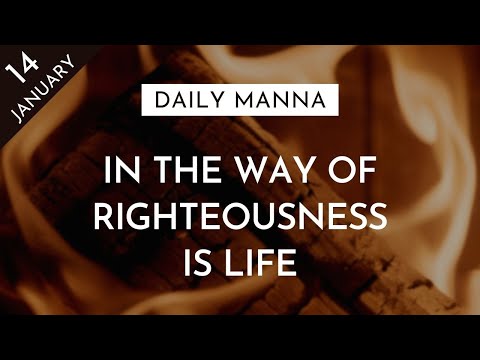 In The Way Of Righteousness Is Life | Proverbs 12:28 | Daily Manna