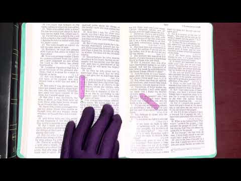 8/24/22, Psalm 39, Proverbs 24, 1Corinthians 8:1-13, Isaiah 1:1-2:22 Old and New Testament Readings
