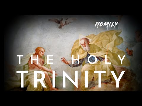 Homily for the Holy Trinity Sunday, Year C | June 12, 2022 ( Feast of Holy Trinity ) John 16:12-15