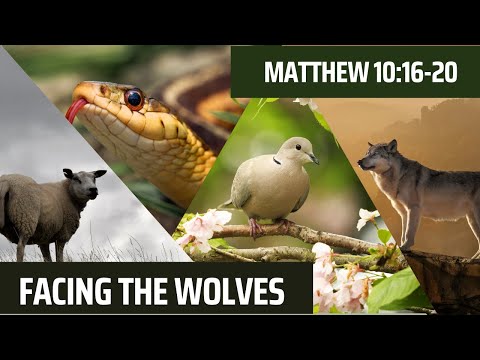 Facing the Wolves [ Matthew 10:16-20 ] by Tim Cantrell