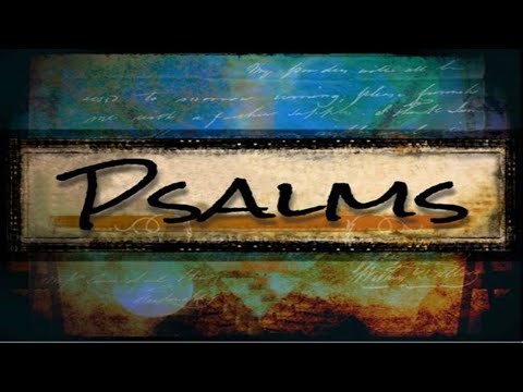 Psalm 119:126-175 - Love His Word