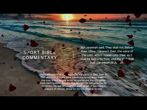 Jeremiah 38:20 - Short Bible commentary