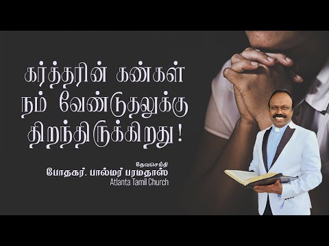 Daily Word with Pastor Palmer - 1 Kings 8:52