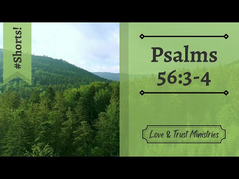 When You’re Afraid, Trust Instead! | Psalms 56:3-4 | August 11th | Rise and Shine Shorts