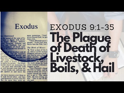 EXODUS 9:1-35 THE 5TH to the 7TH PLAGUES: DEATH OF LIVESTOCK, BOILS, &amp; HAIL (S13 E9)