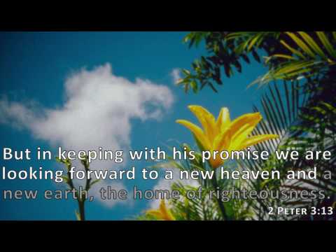 2 Peter 3:13, Holy Bible, NIV