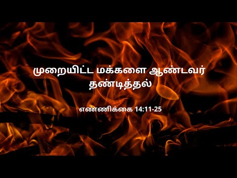 எண்ணிக்கை 14:26-45 | Daily Bible RC | Numbers 14:26-45